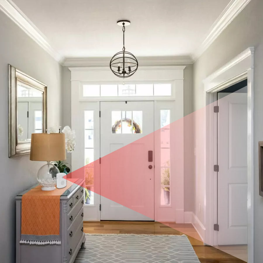 Talking PIR Motion Sensor for Dementia